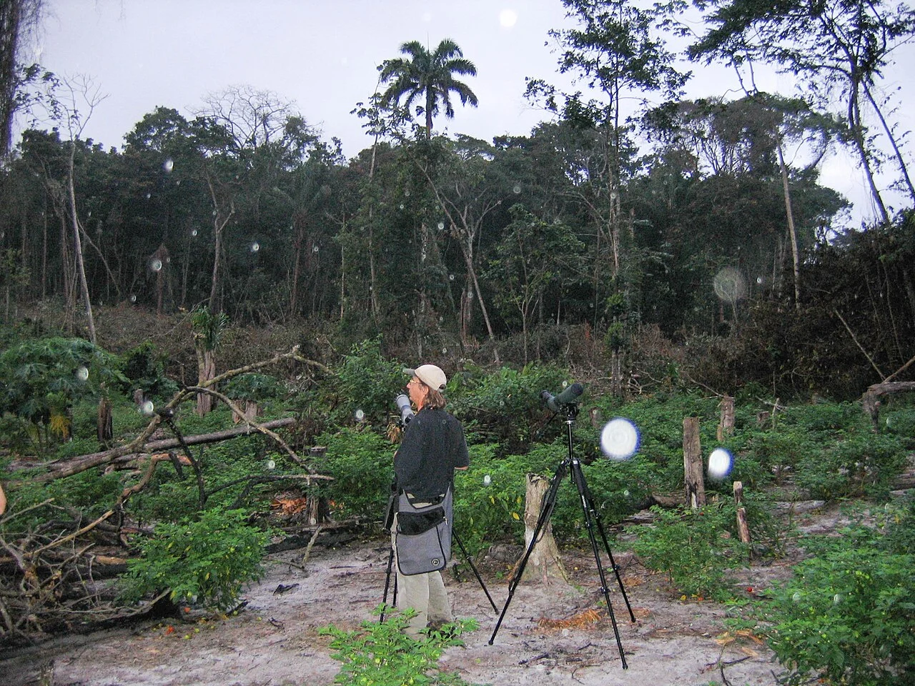 Photo of Sierra Imataca