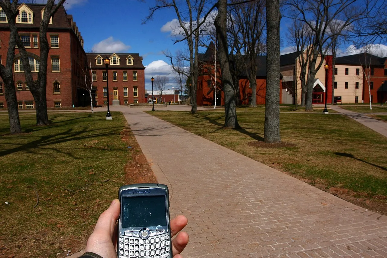 Photo of Silver Berry
