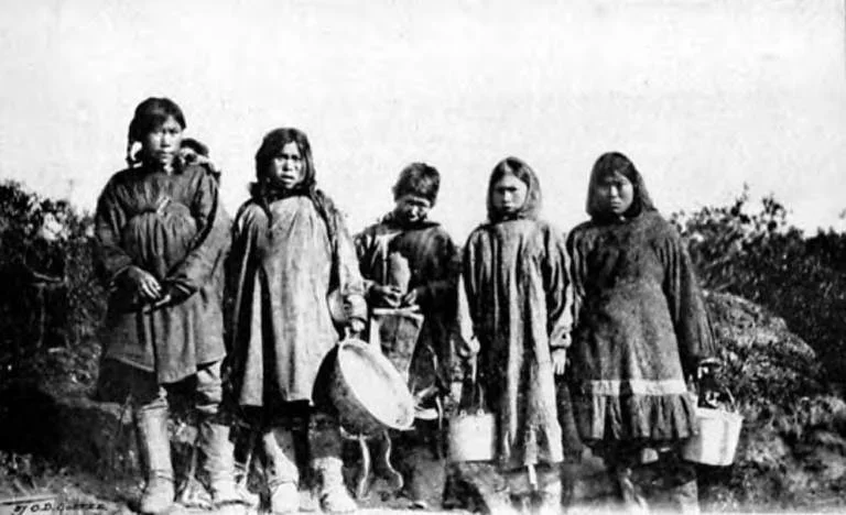 Photo of Silver Berry