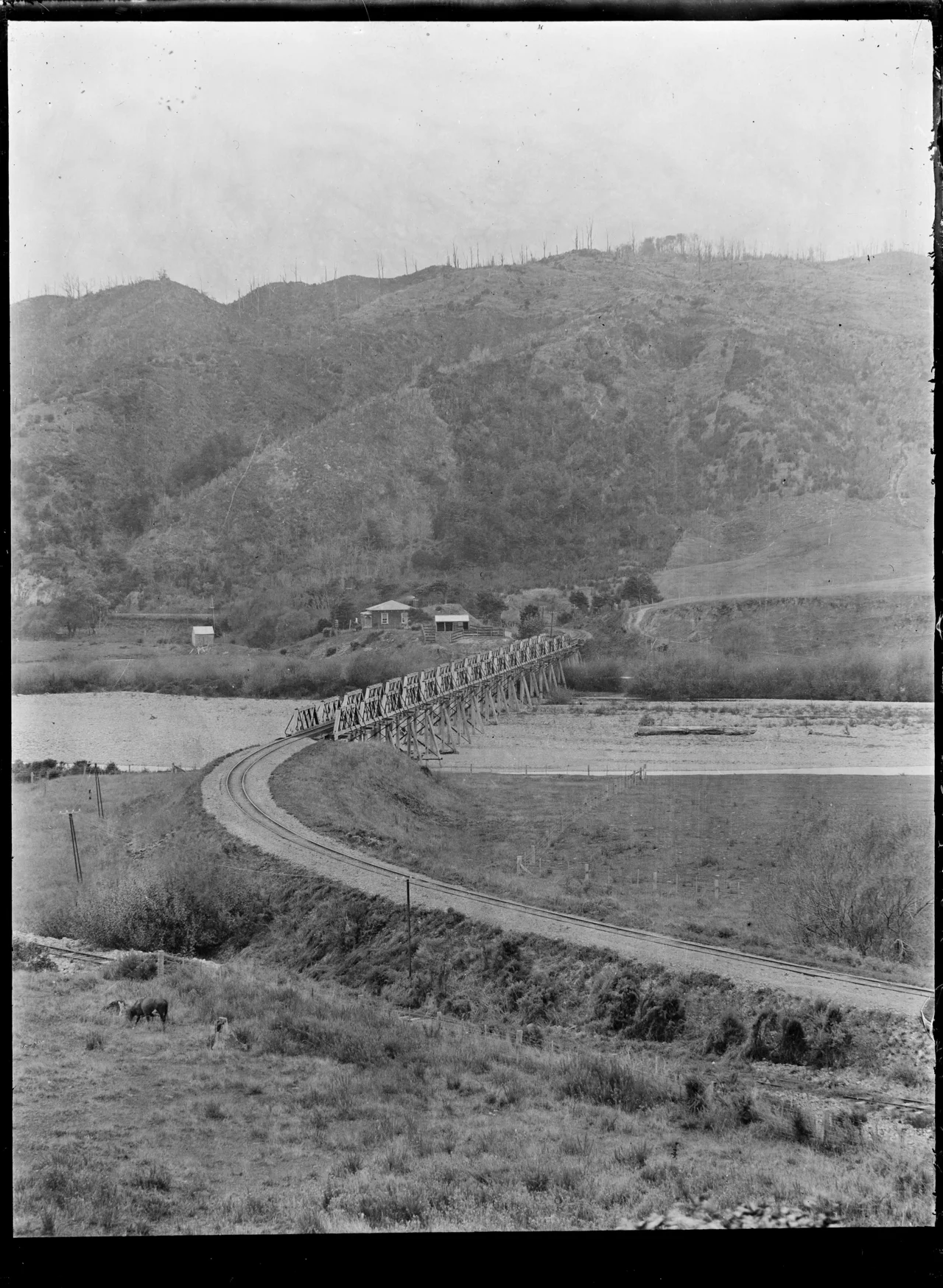 Photo of Silverstream