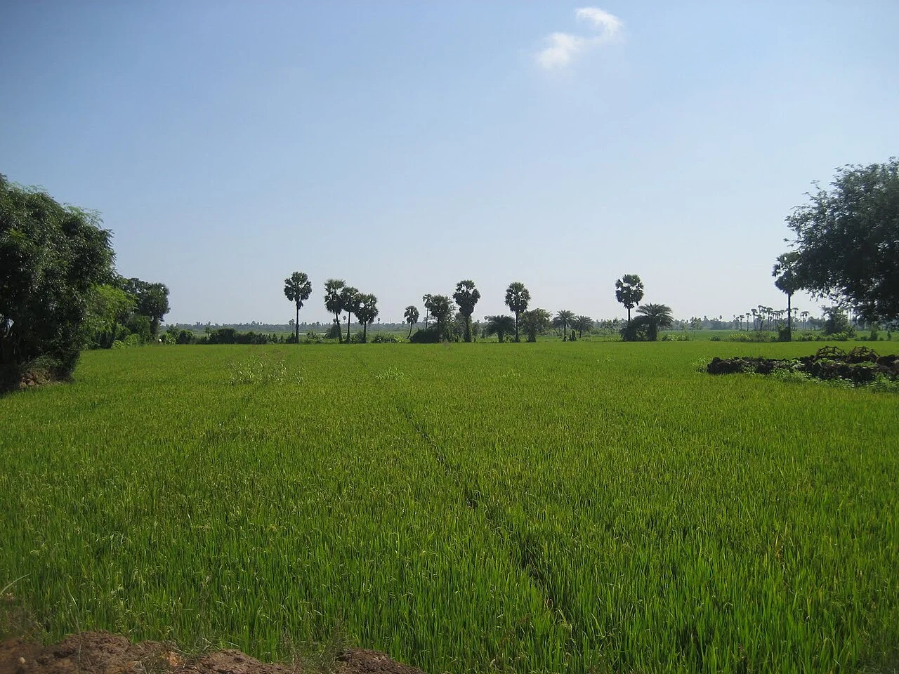 Photo of Singarāyakonda