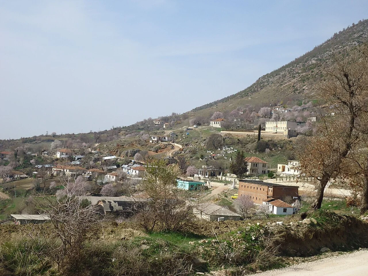 Photo of Sinjë