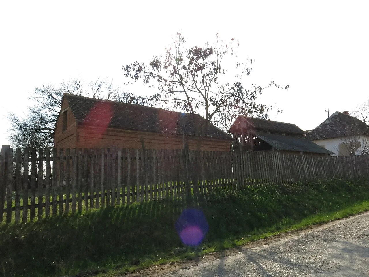 Photo of Sinošević