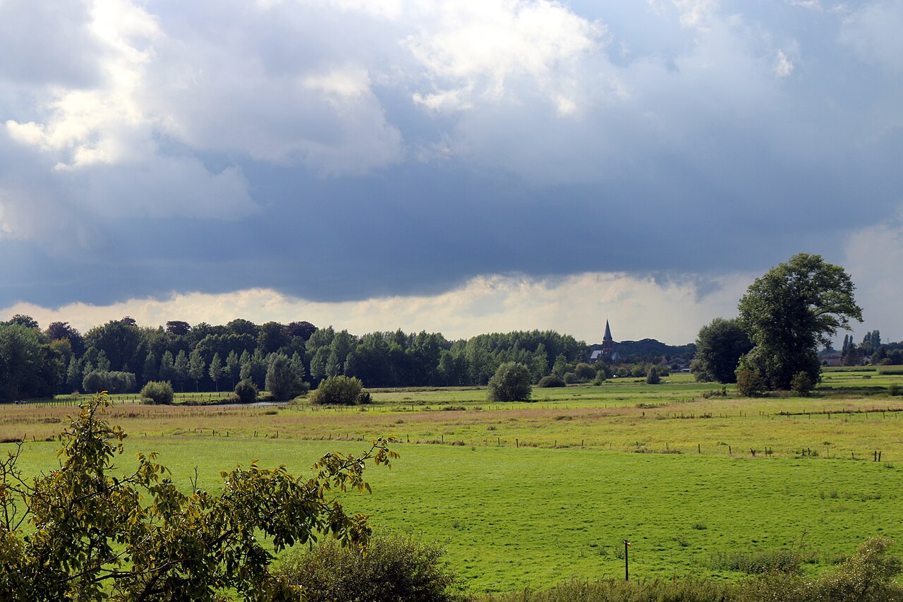 Nature of Sint-Martens-Latem in Belgium, Summer 2014