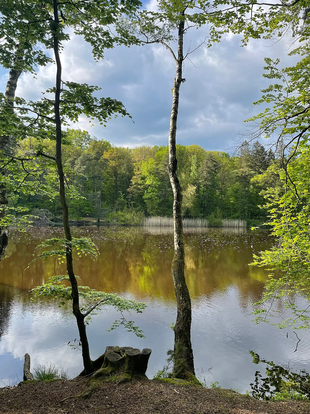 Photo of Sippersfeld