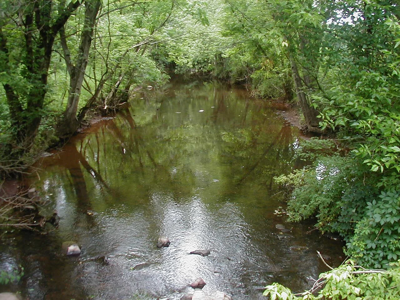 Photo of Sixmile Run