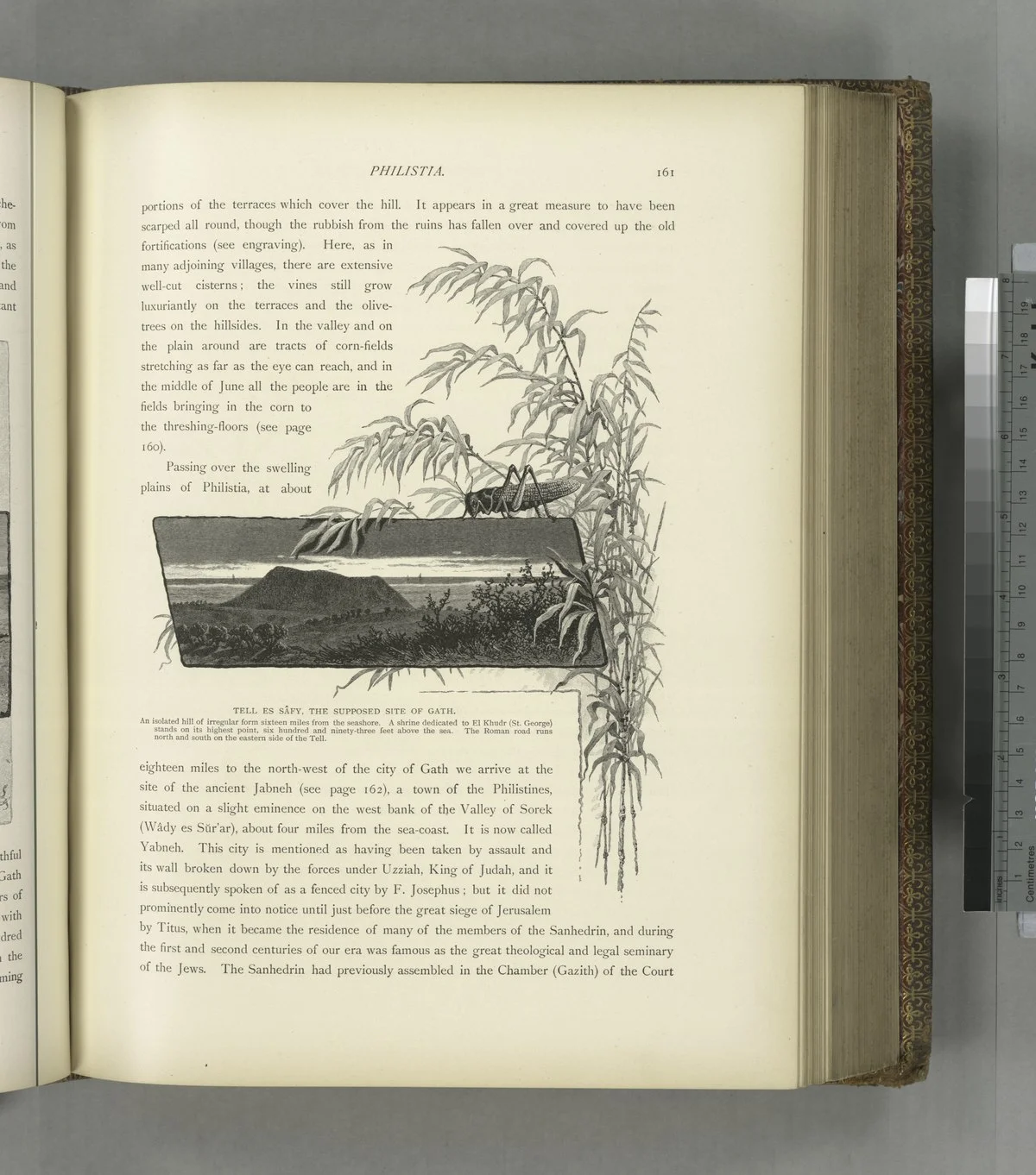 Photo of Sixteen Mile Stand