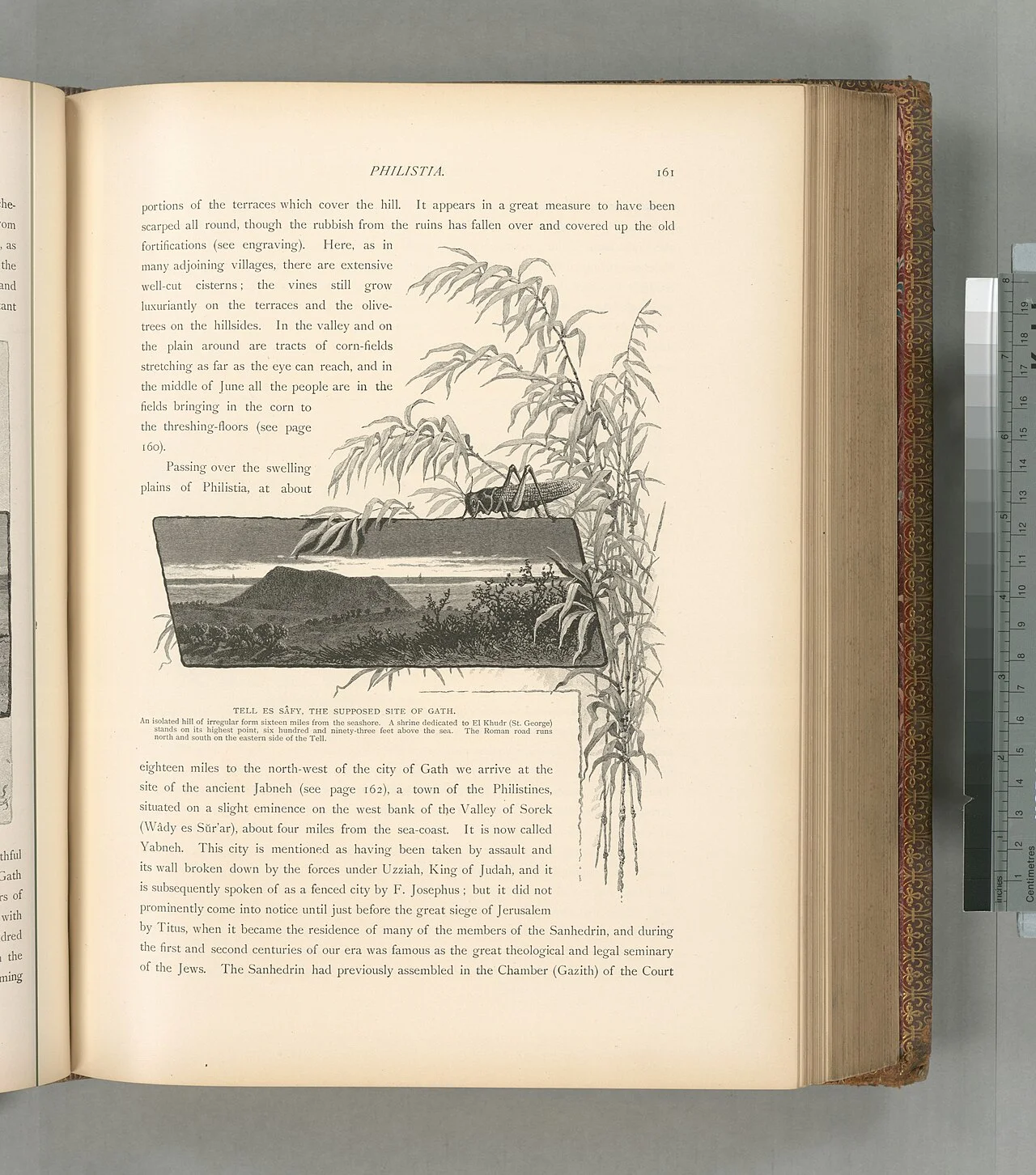 Photo of Sixteen Mile Stand