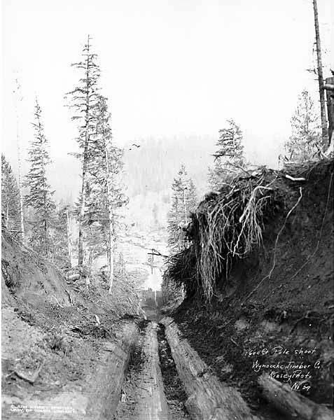 Photo of Skidway Lake