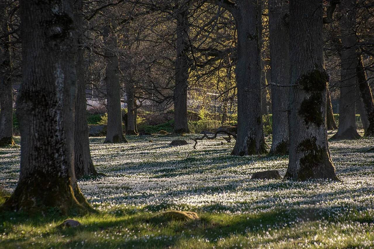 Photo of Sköllersta