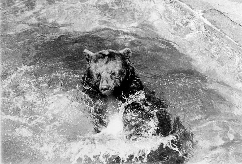 Photo of Smokey Point