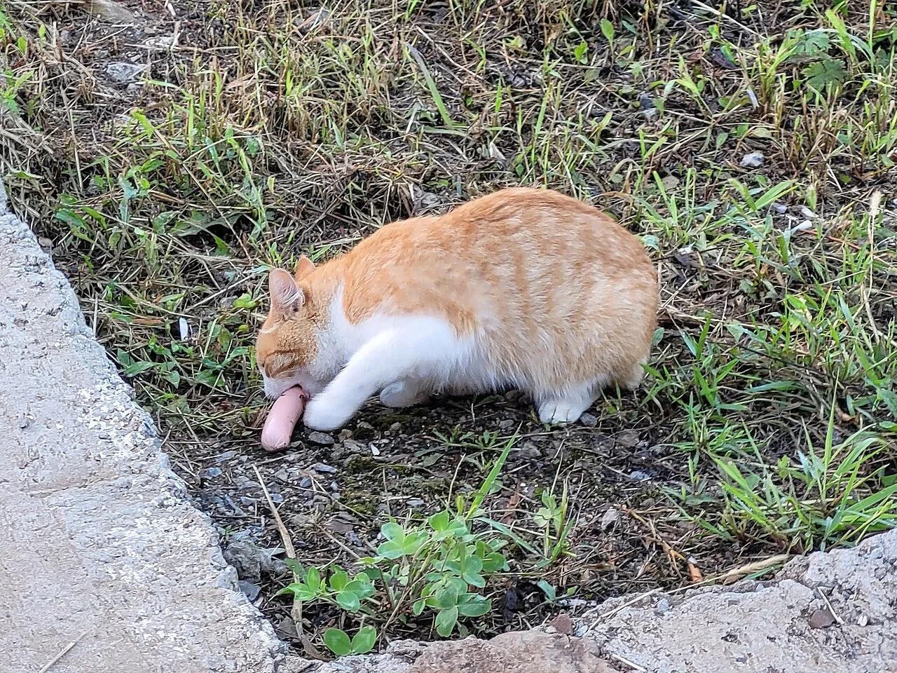 Photo of Smolyaninovo