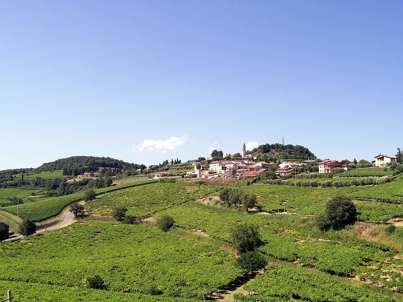 Photo of Soave