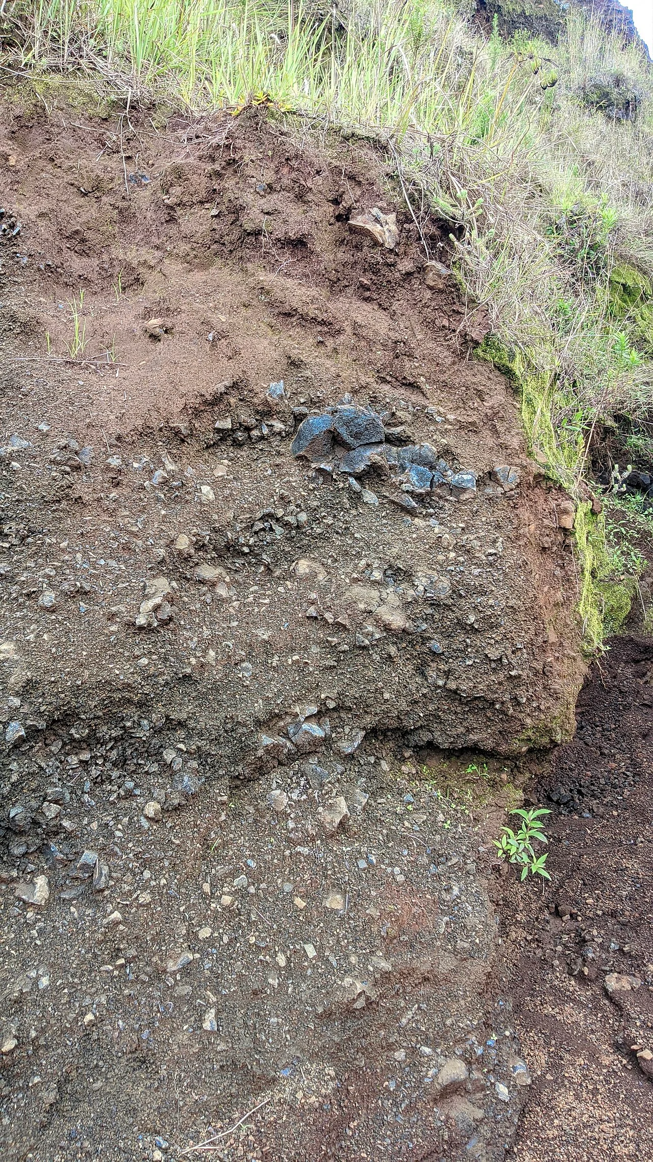 Photo of Soavinandriana