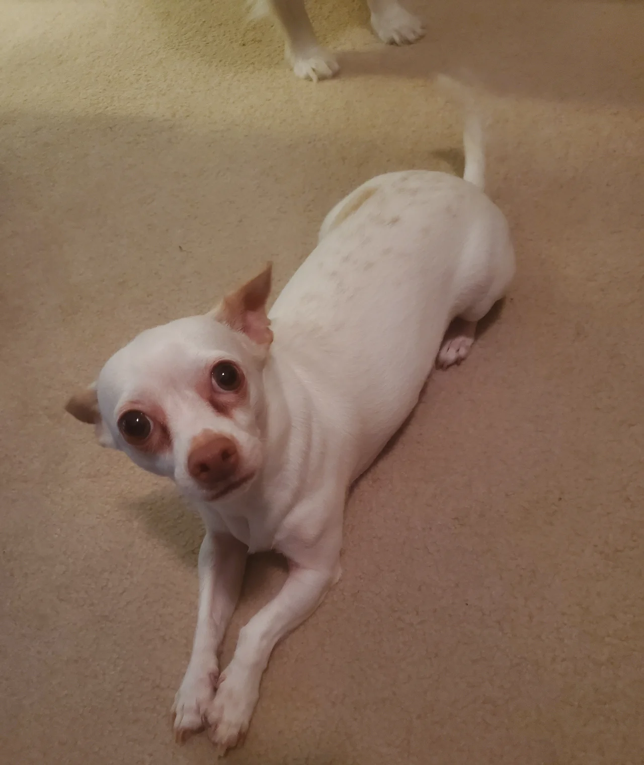 Photo of Socoltenango