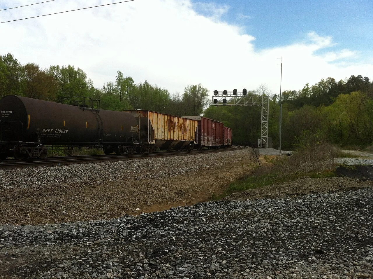 Photo of Soddy-Daisy