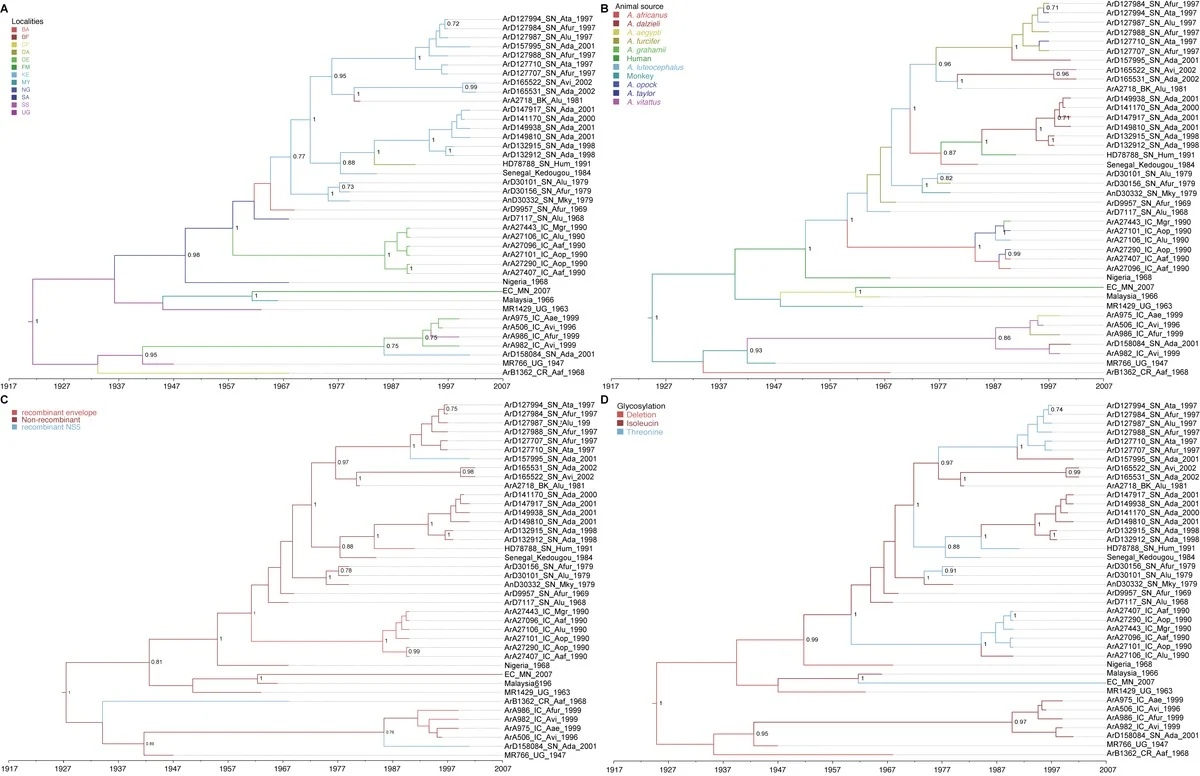 Photo of Sokala-Sobara