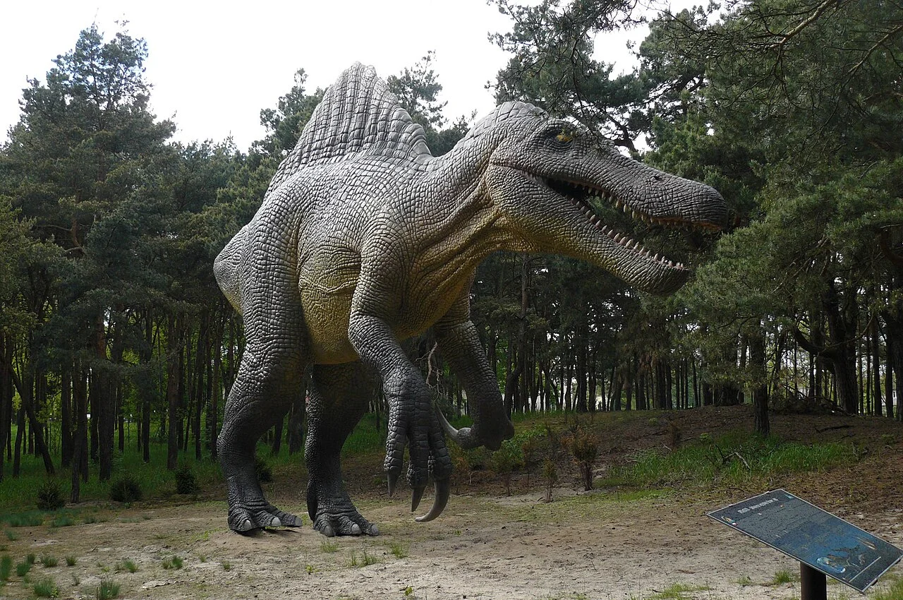 Photo of Solec Kujawski