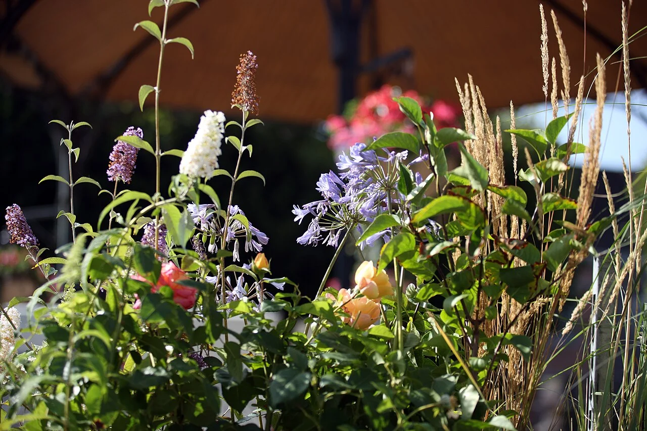 Photo of Solre-le-Château