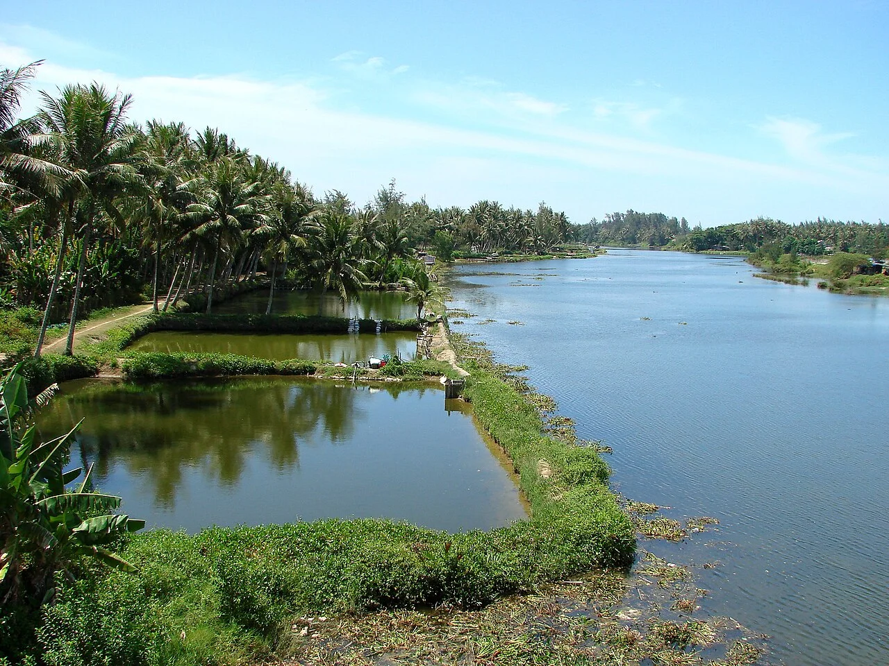 Photo of Sơn Tịnh