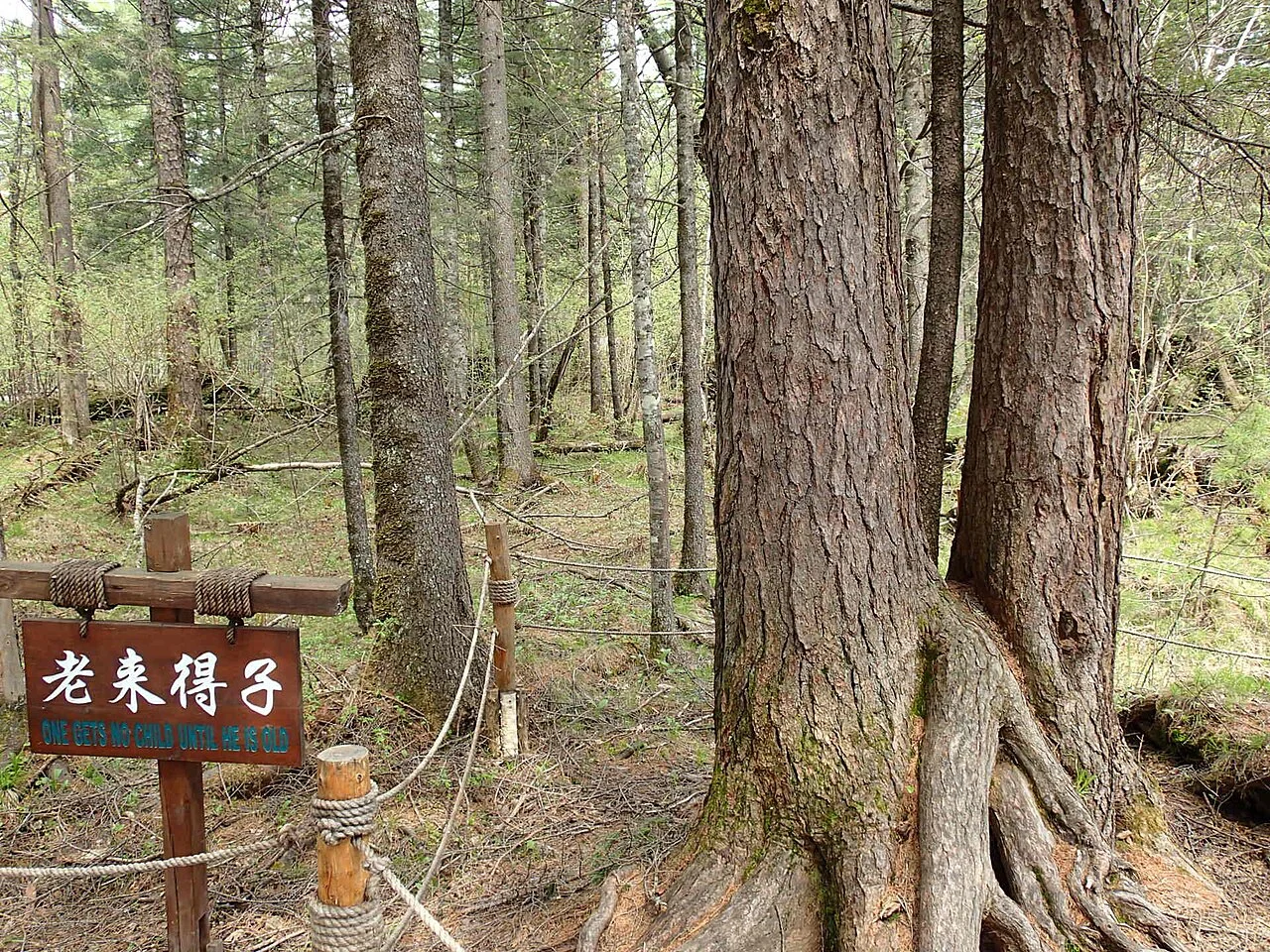 Photo of Songjianghe