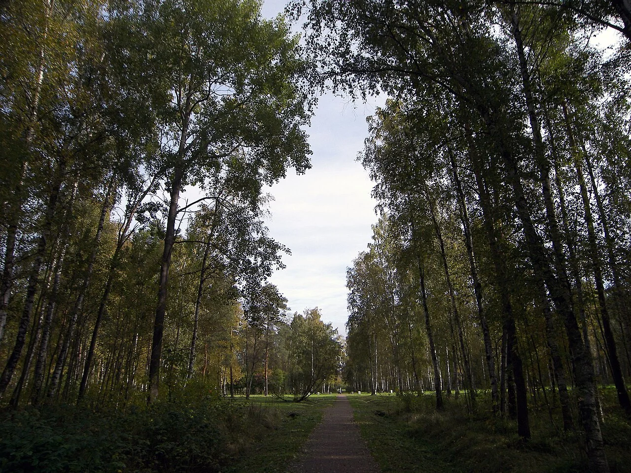 Photo of Sosnovaya Polyana