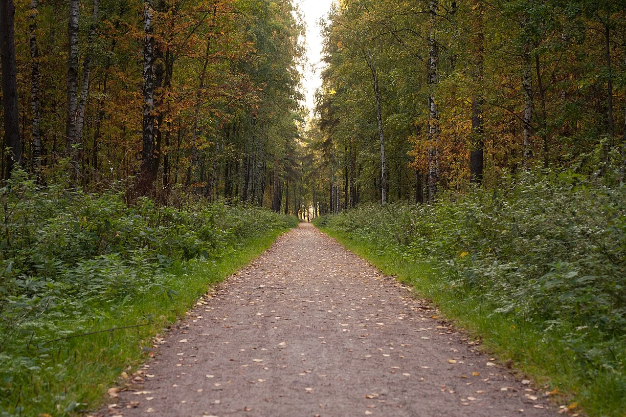 Photo of Sosnovaya Polyana