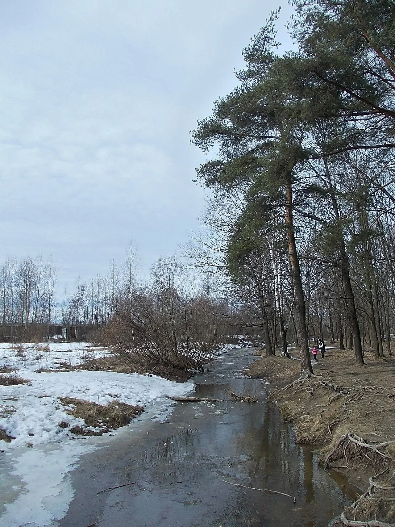 Photo of Sosnovaya Polyana