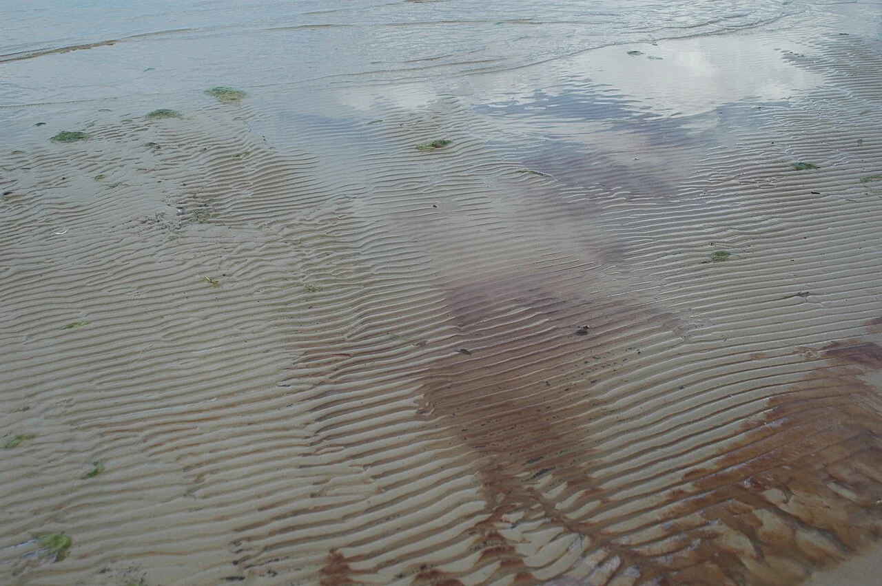 Photo of Sosnovyy Bor