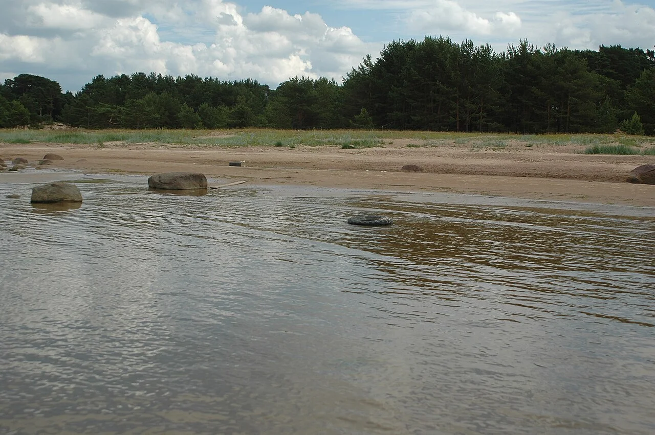 Photo of Sosnovyy Bor