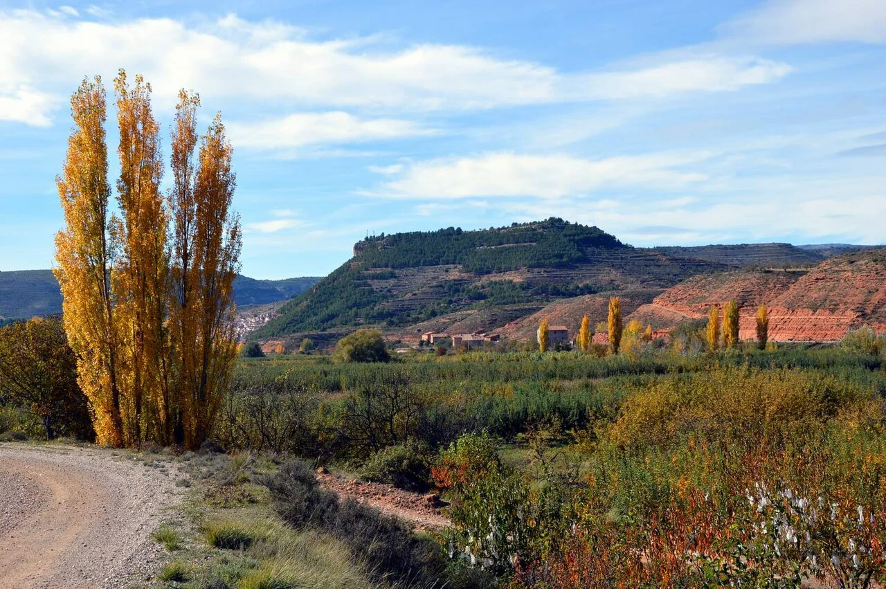 Photo of Soto de la Vega