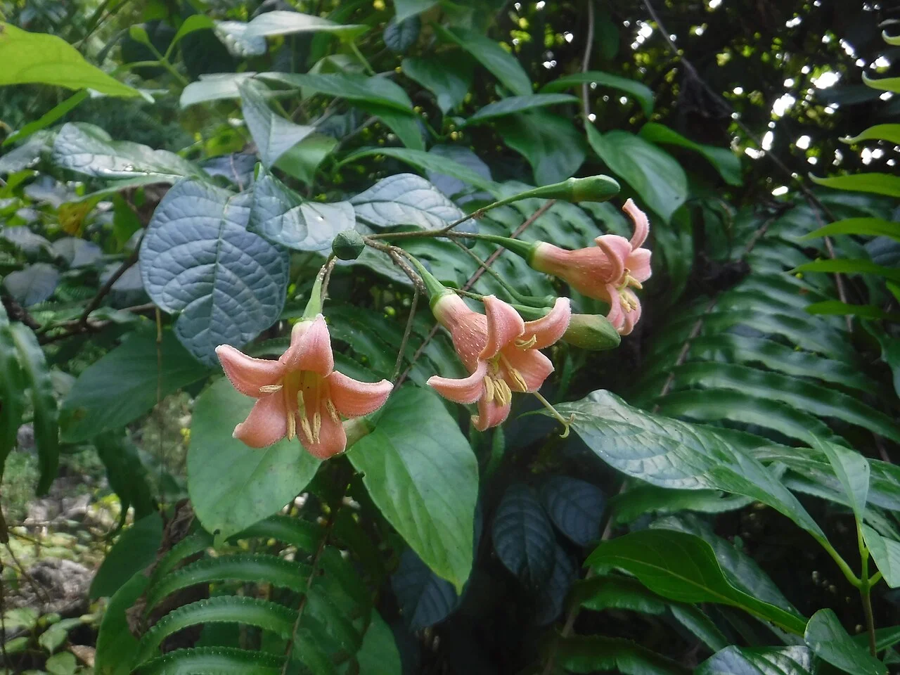 Photo of Sources Chaudes