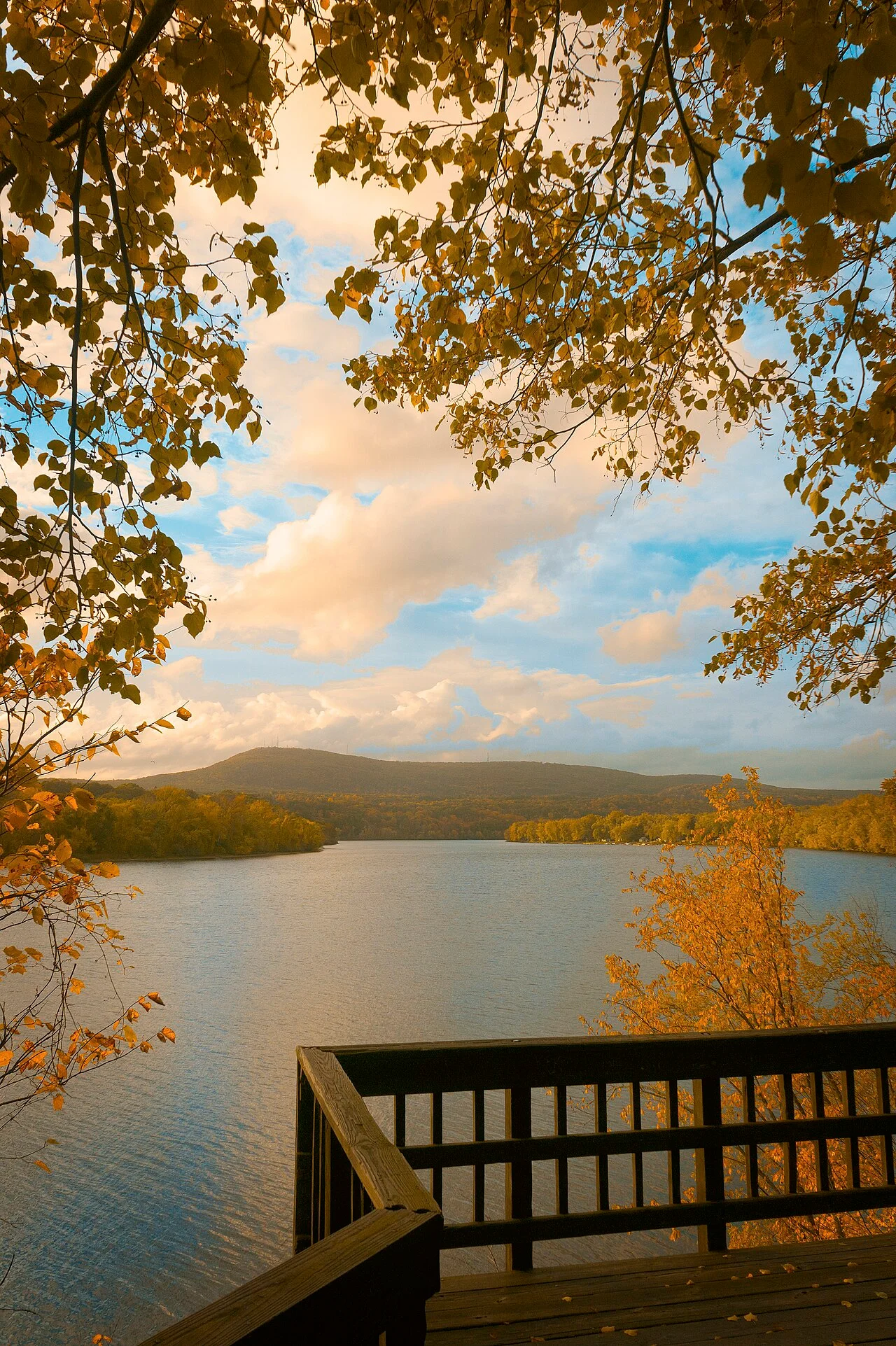 Photo of South Canal