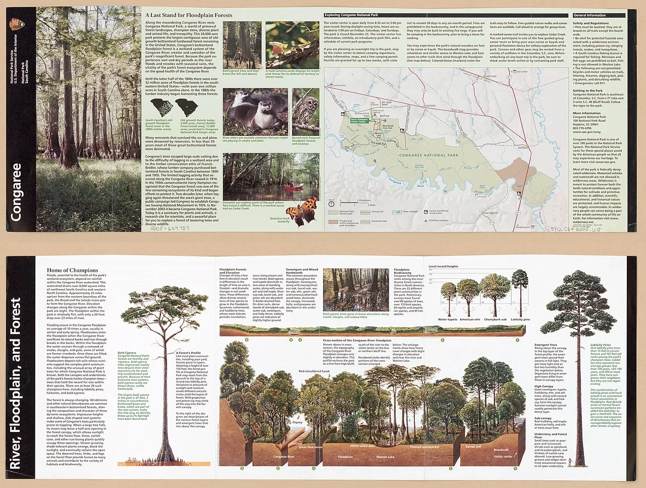 Photo of South Congaree