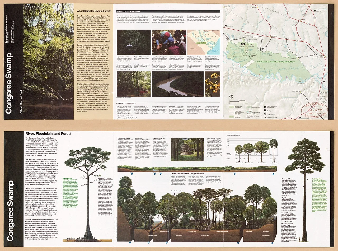 Photo of South Congaree