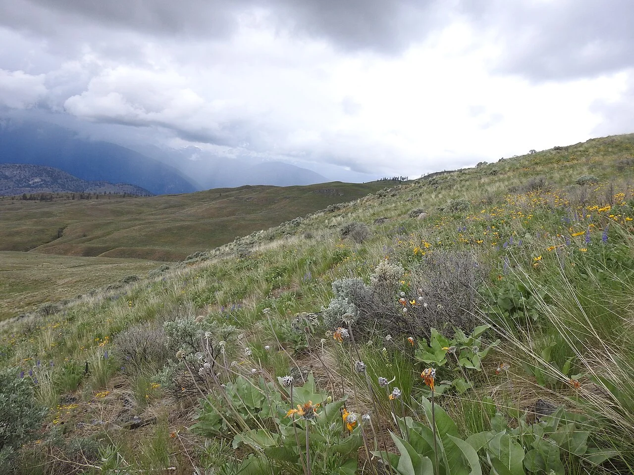 Photo of South Slope