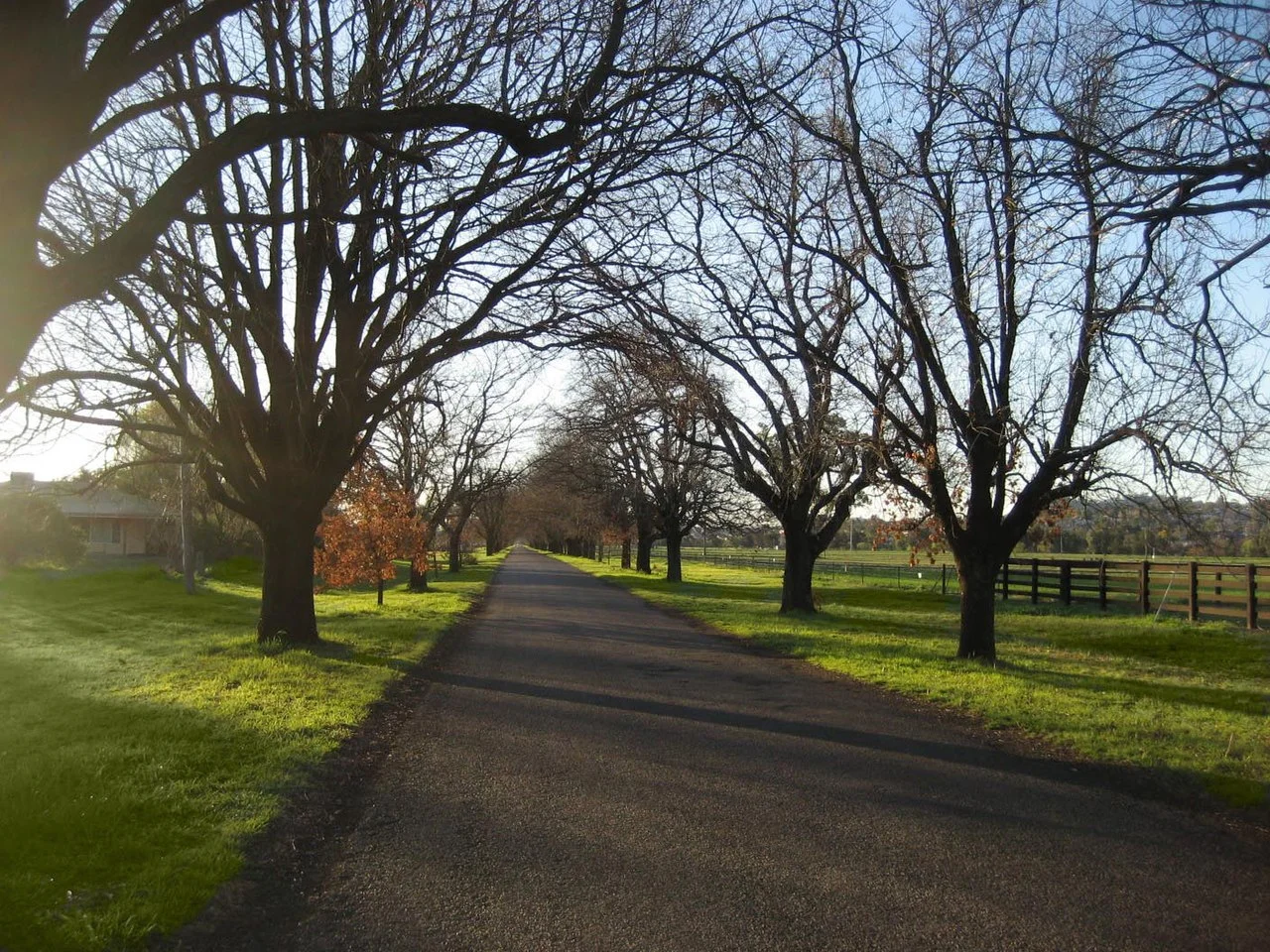 Photo of South Tamworth