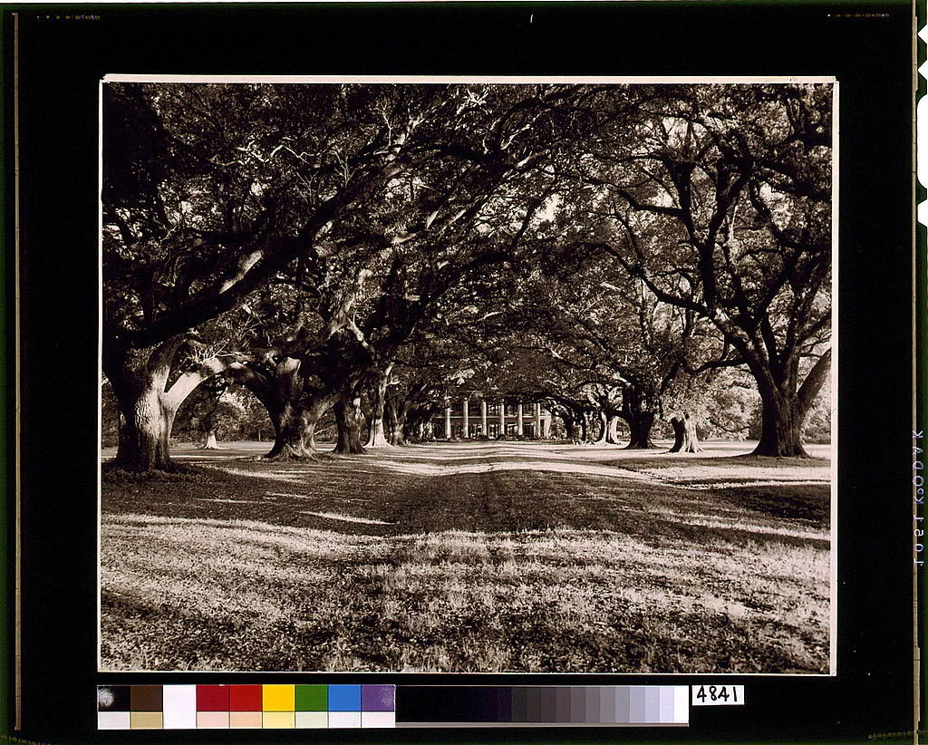 Photo of South Vacherie