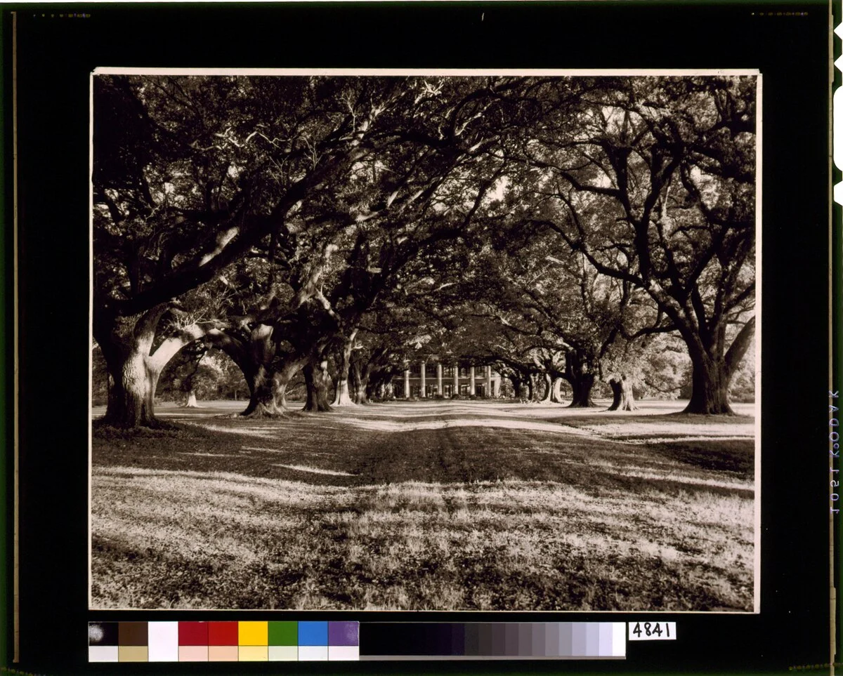 Photo of South Vacherie