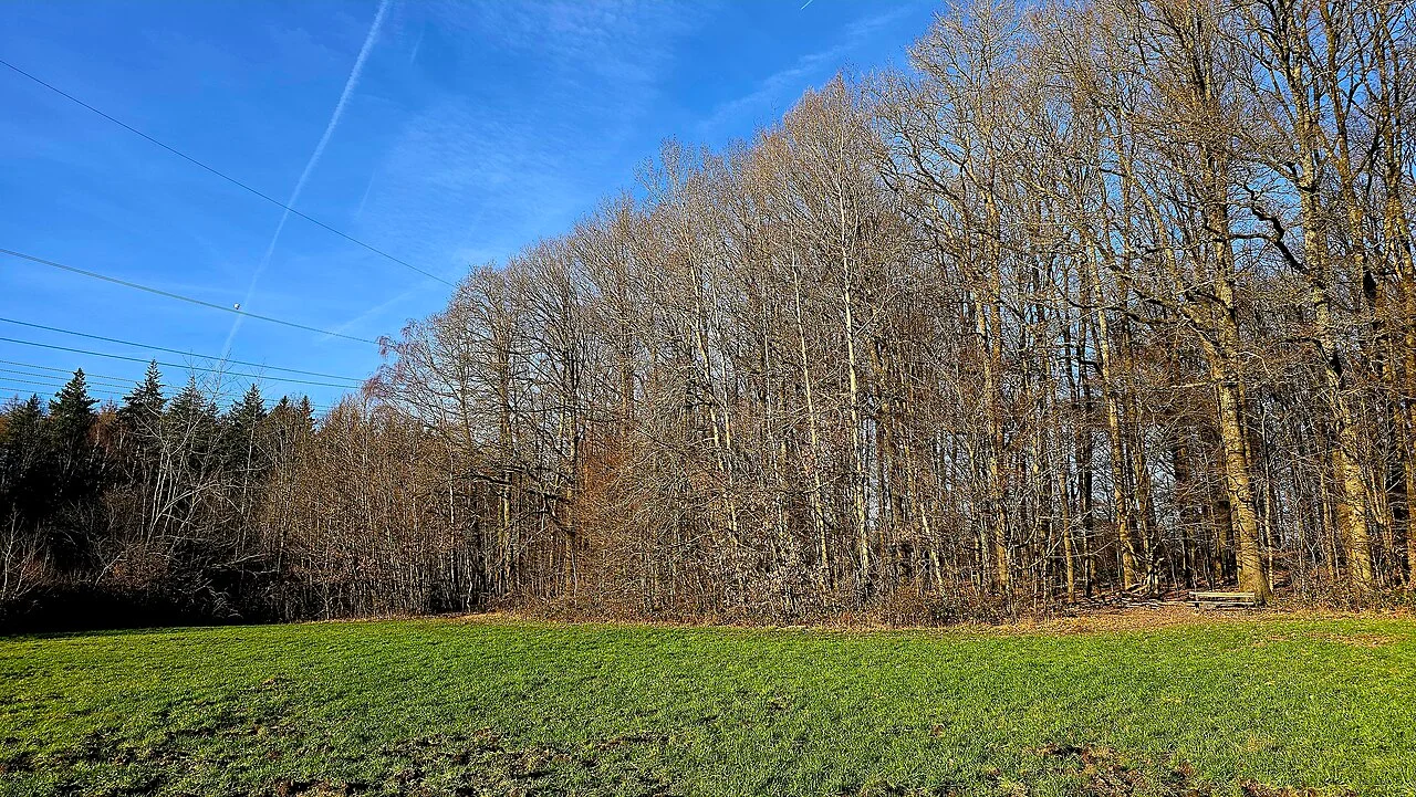 Photo of Spiesen-Elversberg