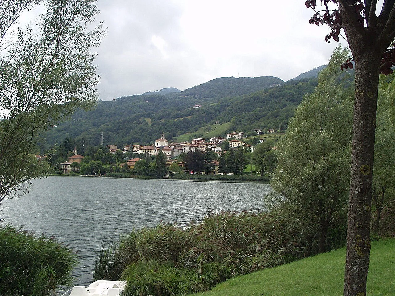 Photo of Spinone al Lago