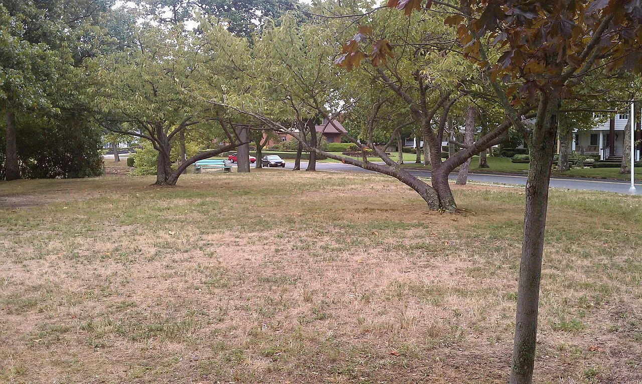 Photo of Spring Lake Park