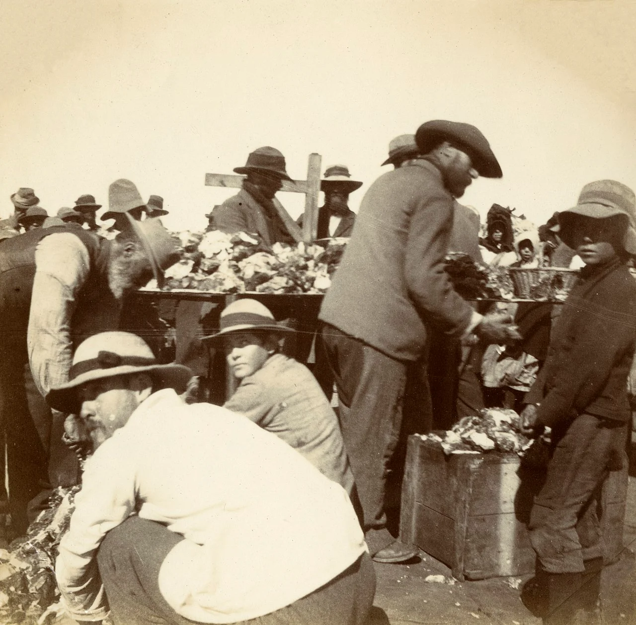 Photo of Springfontein