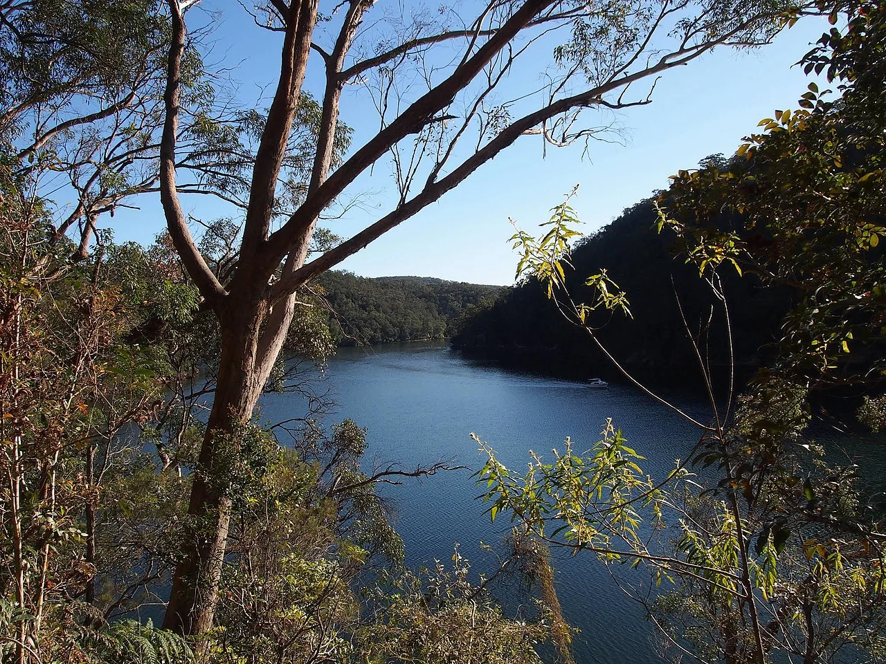Photo of St Ives Chase