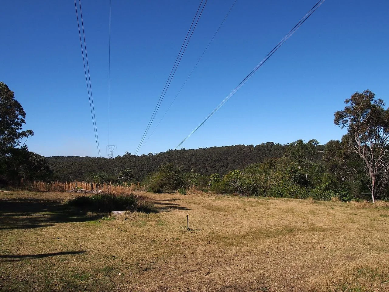 Photo of St Ives Chase