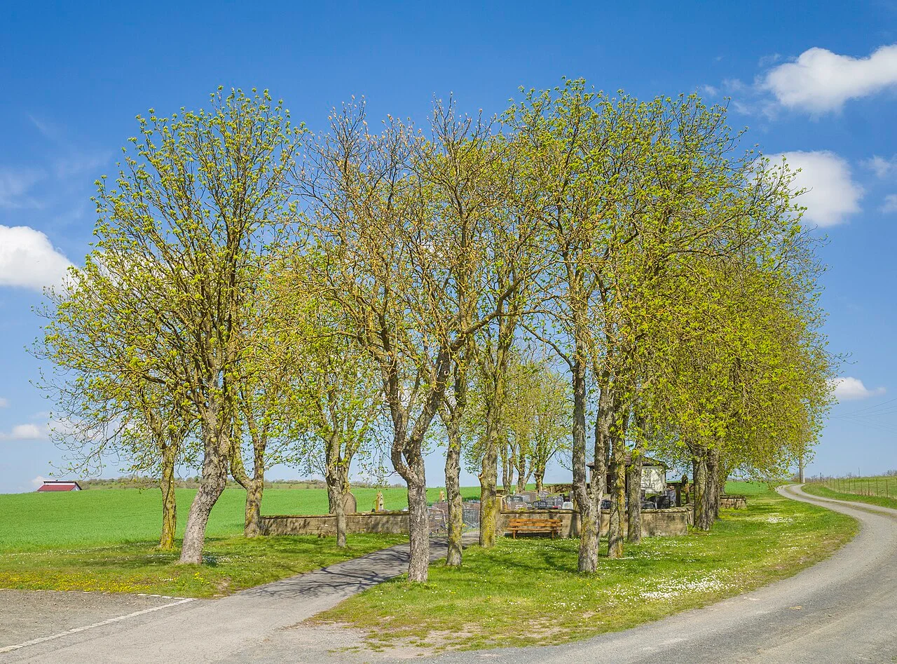 Photo of Stadtlauringen