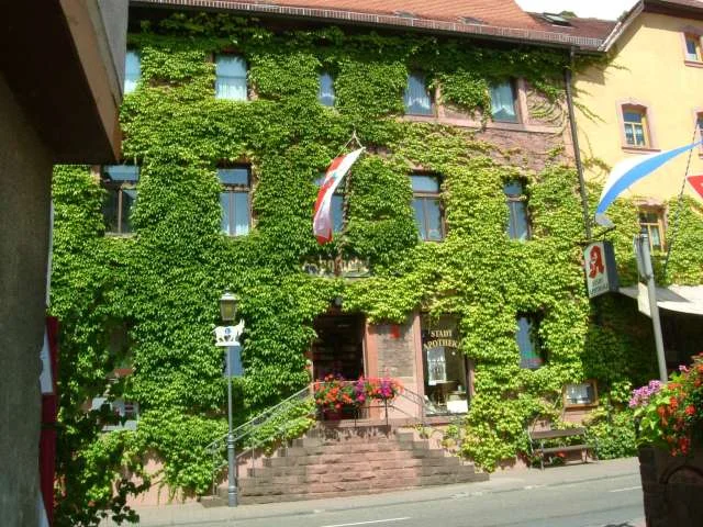 Photo of Stadtprozelten