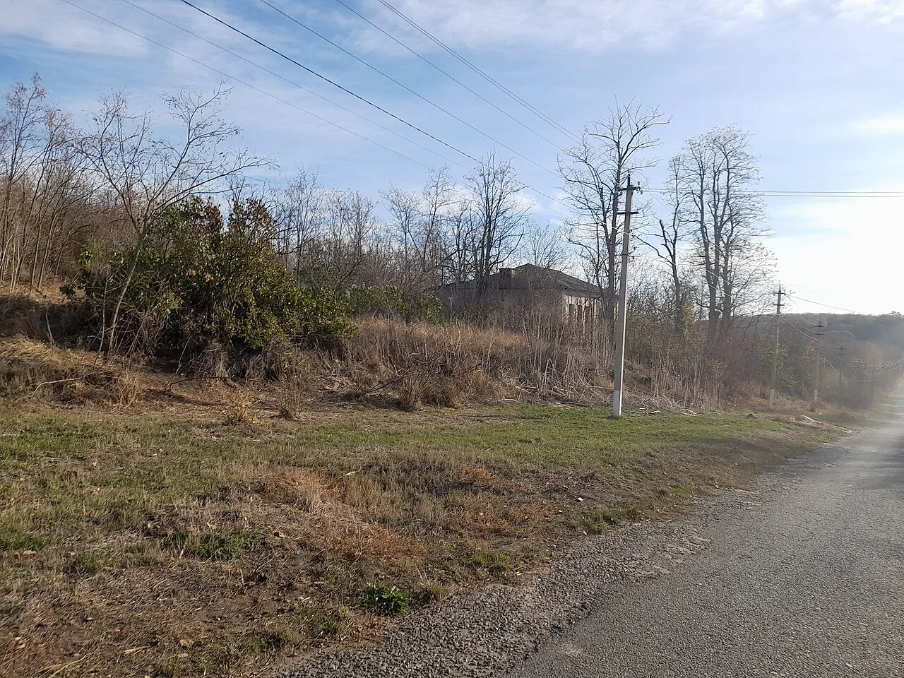 Photo of Stanislavka