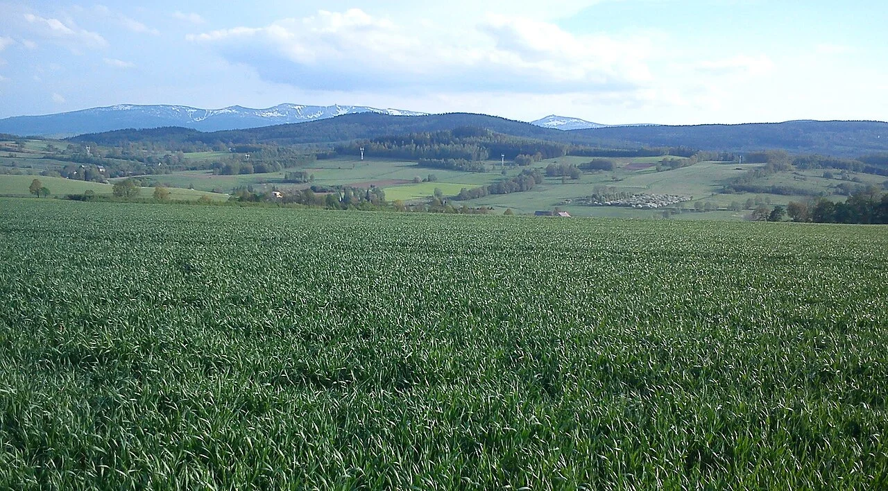 Photo of Stara Kamienica