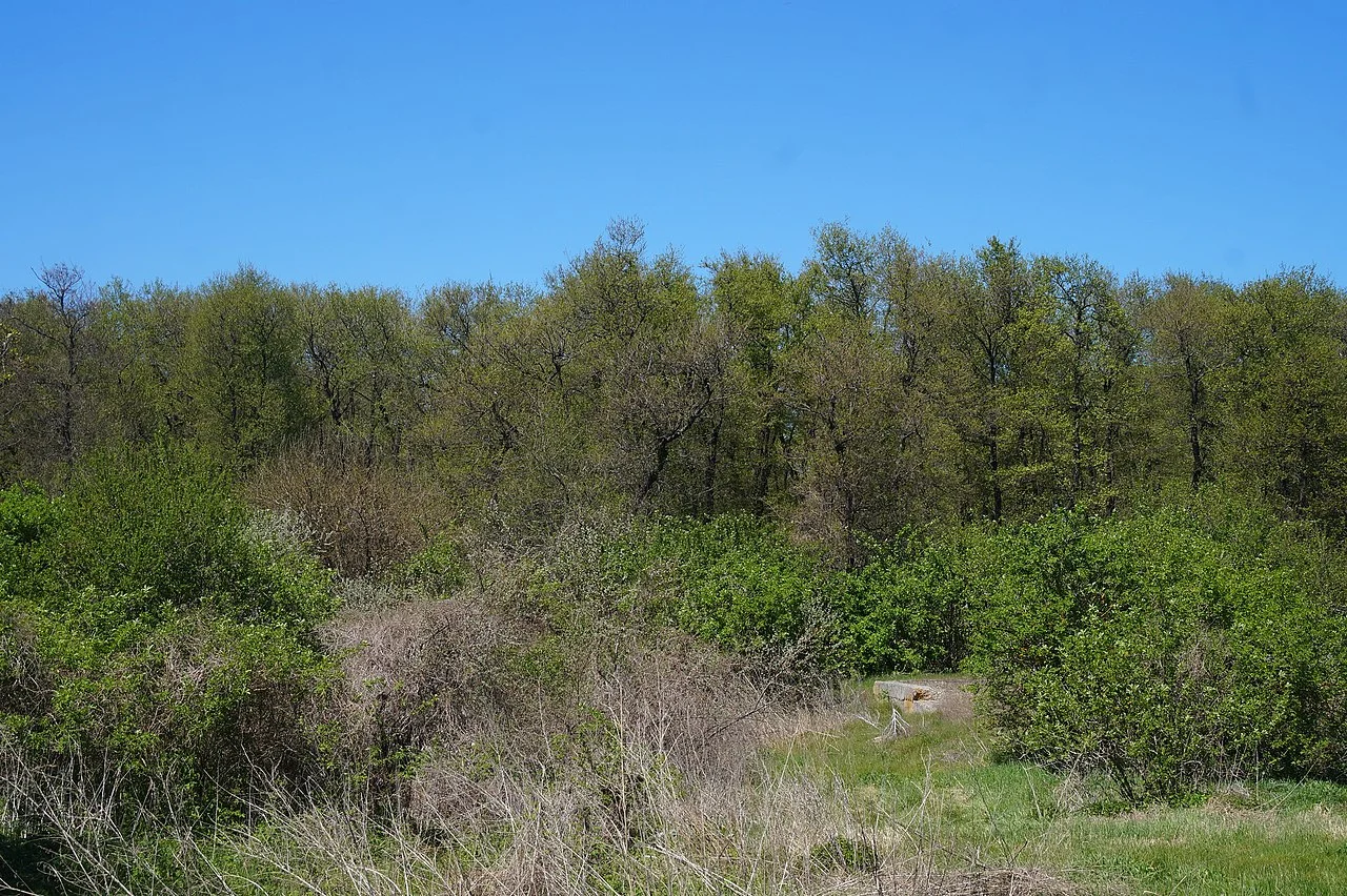 Photo of Stara Zburivka